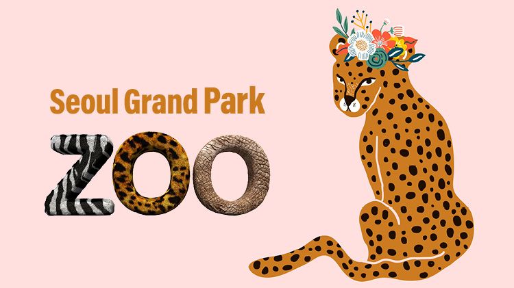 Seoul Grand Park Zoo Tour