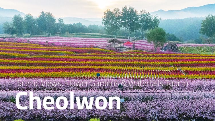 Cheolwon Tour